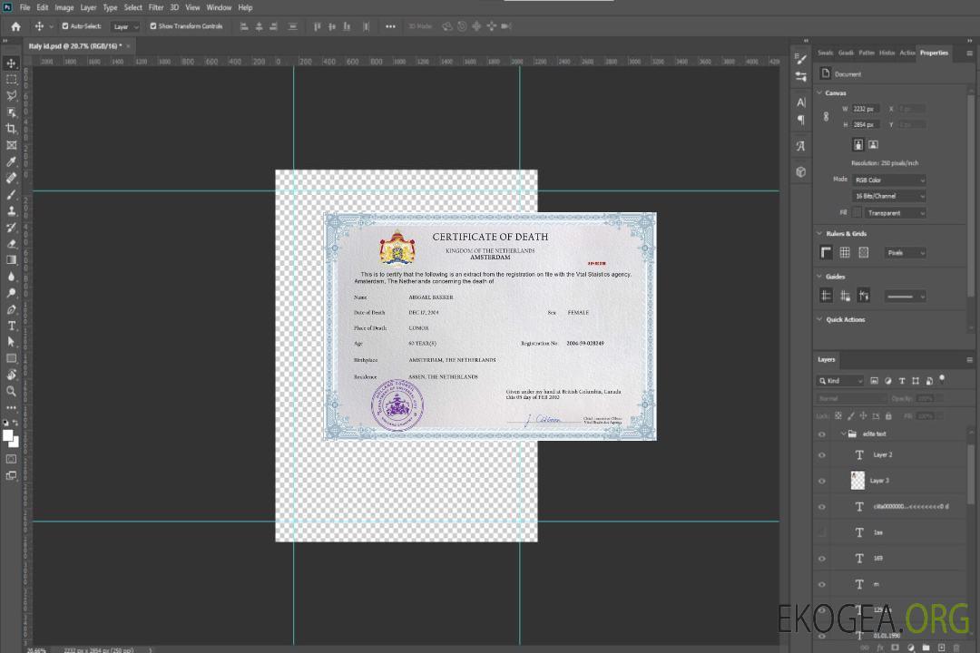 Modèle PSD de certificat de décès des Pays-Bas template